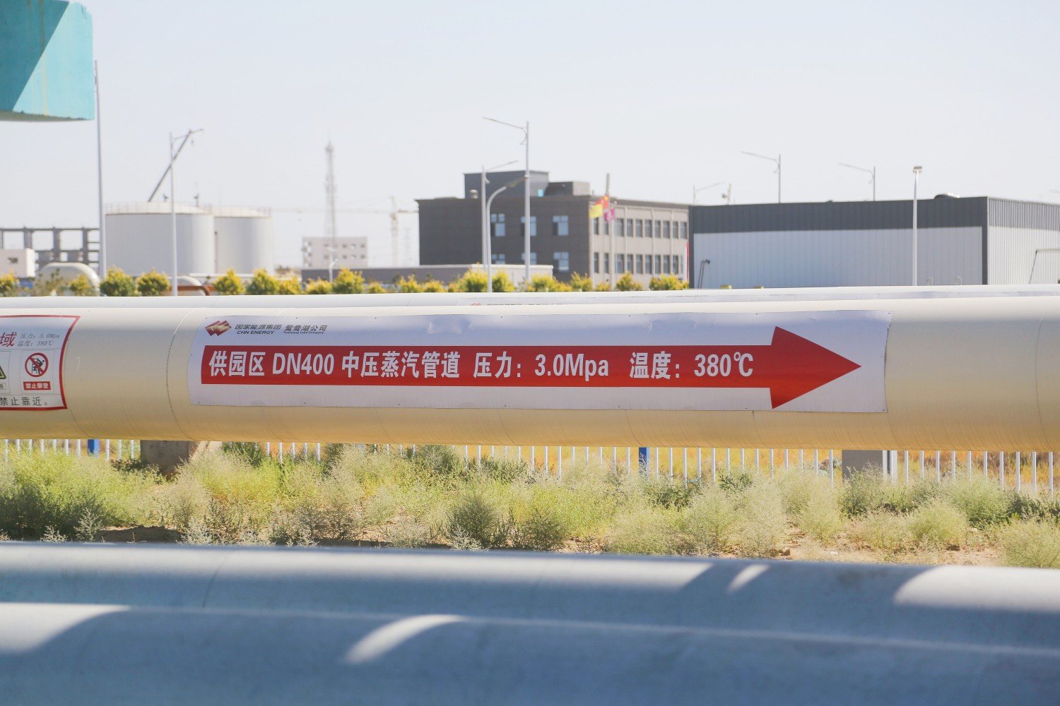 公开信息按发布时间滚动
